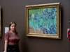 Van Goghove Kosatce (otev�e galerii do nov�ho okna)