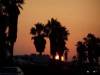 Slunce se rychle ukr�v� za palmy na Huntington Beach (otev�e galerii do nov�ho okna)