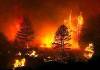 Oheň přeskakuje ze stromu na strom na okraji Julianu, turistické mekky v severní části oblasti San Diega. Toto město bylo z valné většiny nakonec v úterý v noci zkázy ušetřeno, jelikož se obrátil vítr. (otevře galerii do nového okna)